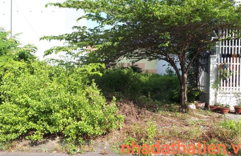 HOT...!!! NỀN GIÁ RẺ D1-35 NẰM TRÊN ĐƯỜNG TRẦN PHÚ ( ĐƯỜNG SỐ 2)