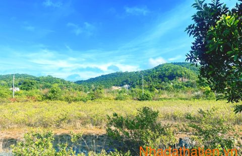 NỀN F03-25 VỊ TRÍ ĐẸP, GIÁ ĐẦU TƯ!!