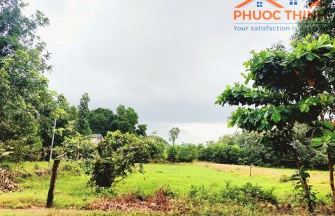 NỀN ĐẤT NÚI ĐỒNG-NÚI NHỌN GẦN BÃI CÁT TRẮNG THUẬN YÊN