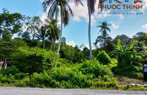 BÁN ĐẤT MẶT TIỀN QUỐC LỘ 80 (THUẬN YÊN)