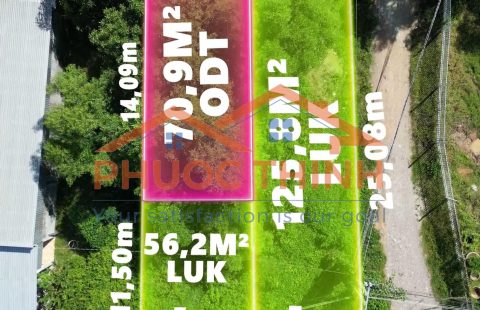 ĐẤT ĐƯỜNG GIẾNG TƯỢNG – KHÔNG GIAN XANH, TIỀM NĂNG LỚN!