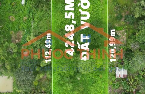 SỞ HỮU MẢNH VƯỜN RIÊNG – ĐẶT NỀN TẢNG CHO LỐI SỐNG XANH & AN YÊN