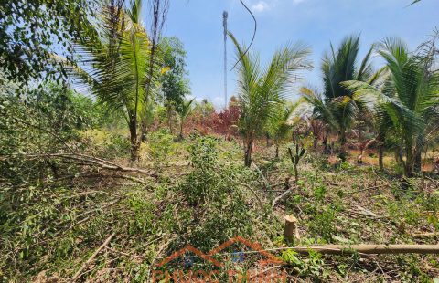 CẶP NỀN ĐẤT PHÚ MỸ – GIANG THÀNH, KHÔNG GIAN RỘNG RÃI, THÍCH HỢP ĐẦU TƯ VÀ XÂY DỰNG NHÀ VƯỜN